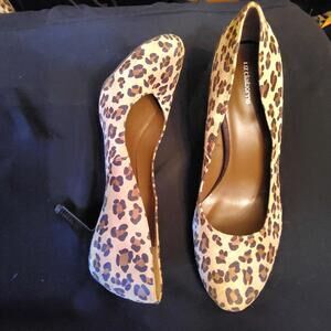 10 Domestic Leopard Heels